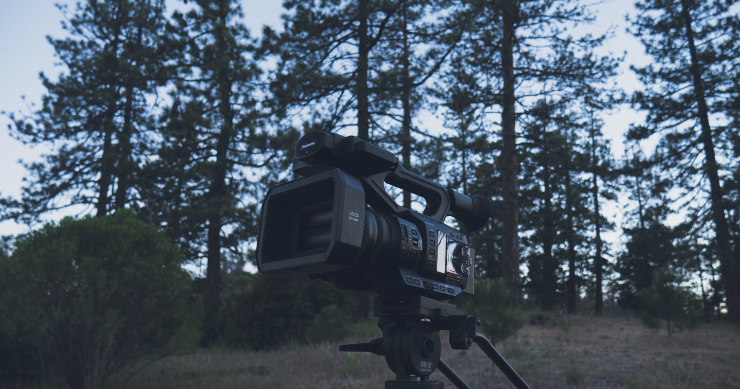 Video camera in forest scene